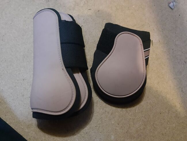 Gamaschen Cob, Showmaster , Ayleen, Tendon Boots, Oldenburg 