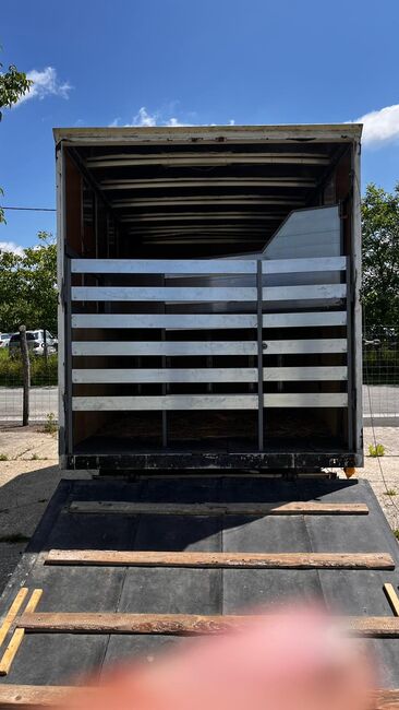 Alt, funktioniert einwandfrei, Fiat Ducato, Julia, Horse Trailers, Rechnitz, Image 2