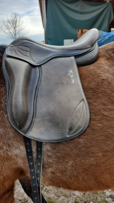 Gangpferdesattel, AVL , Svenja franke, Icelandic Saddle, Rannungen