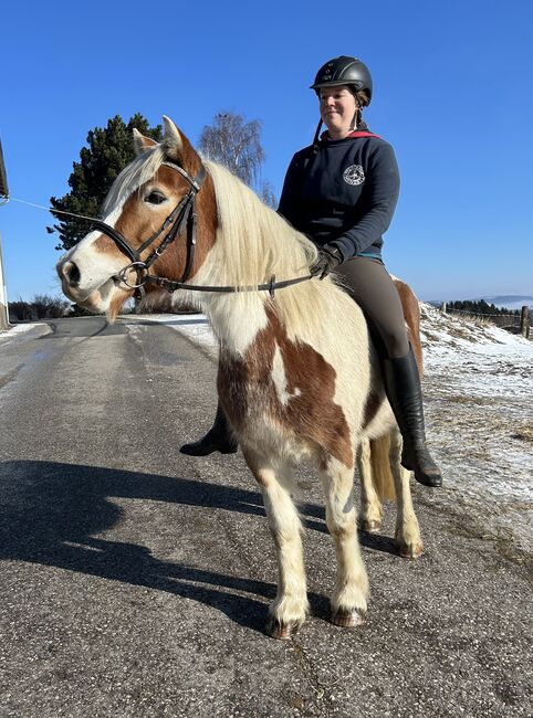 Ganz liebe Stute! ❤️🐴😍👍, Pferdeglück, Pferd kaufen, Pelmberg, Abbildung 4