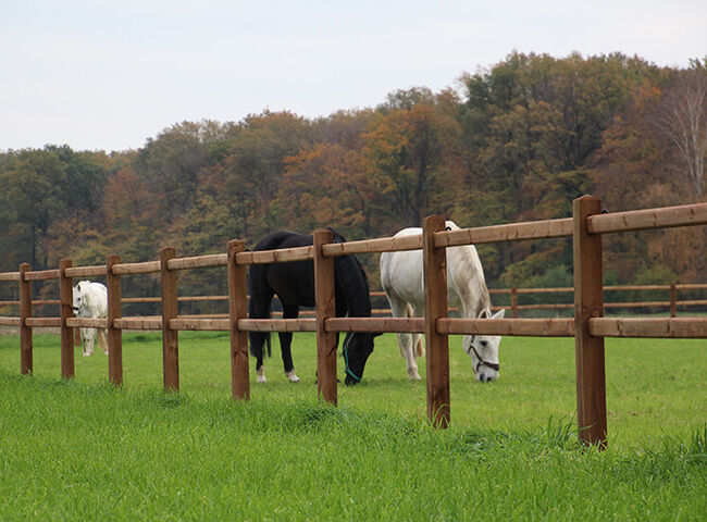 Zaun Garten | Zaun Holz | Gartenzaun Holz | Holzzaun Garten, Rutjes Pferdeboxen und Zäune, Riding Arena, Goor