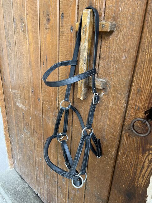 Gebisslose Trense VB/COB, Elisa G., Bitless Bridles, Buchenbach 