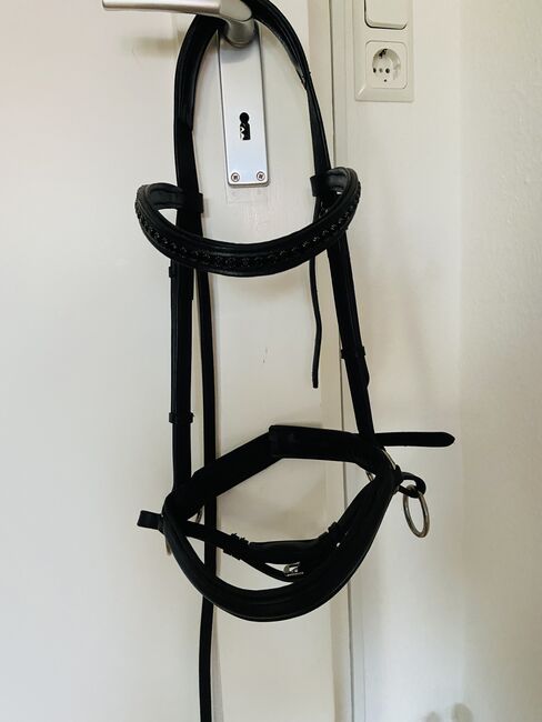 Gebisslose Zäumung, Bitless Bridle Gebisslose Trense, Anna Peitzker, Gebisslose Zäumungen, Göttingen, Abbildung 3