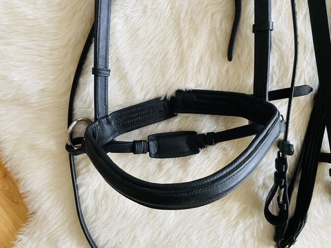 Gebisslose Zäumung, Bitless Bridle Gebisslose Trense, Anna Peitzker, Gebisslose Zäumungen, Göttingen, Abbildung 4