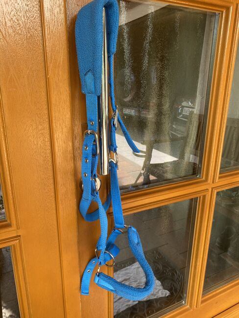 Gebrauchtes Halfter, Barbara, Nosebands, Imsbach 