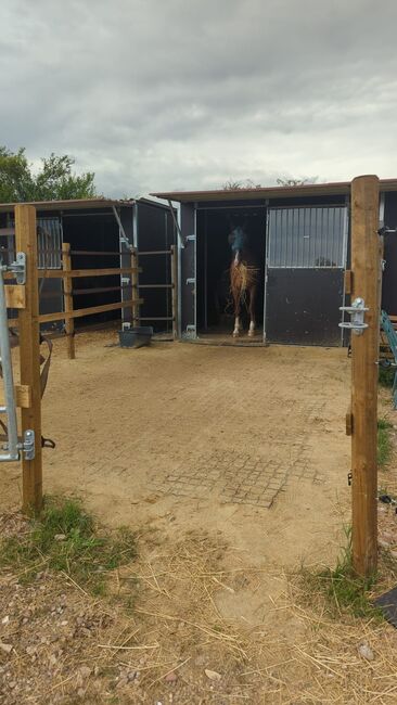 Gebrauchte Weidehütte der Firma Hippo-Tech, Hippo-Tech Gebrauchte Mobile Weidehütte, Christina Krollmann , Horse Stables, Gau-Bickelheim , Image 3