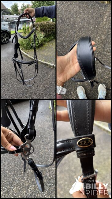Gebussloser Zaum WB, FRA, Céline Leonardo, Bitless Bridles, Rüti ZH, Image 5