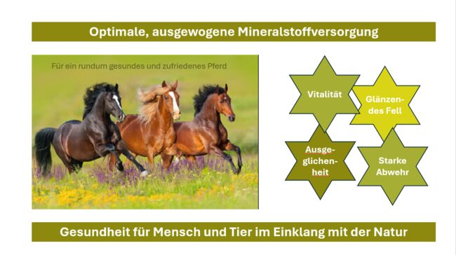 Zertifizierte Beratung zu: Nahrungsergänzungsmittel für Pferde, Claudia Gerards, Therapy & Treatment, Hallenberg, Image 3