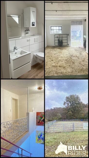 Mietwohnung mit Pferdestall, Braun, Equestrian Properties, Nümbrecht , Image 9