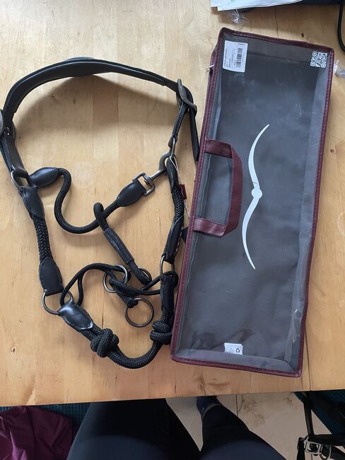 Knotenhalfter Leder Animo neu, Animo, Jäckle, Halters, Rielasingen-Worblingen, Image 2