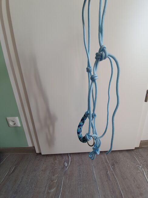 Knotenhalfter mit Zügeln und Arbeitsseil, Flechtplatz, Claudia Tagge, Halters, Potsdam, Image 8