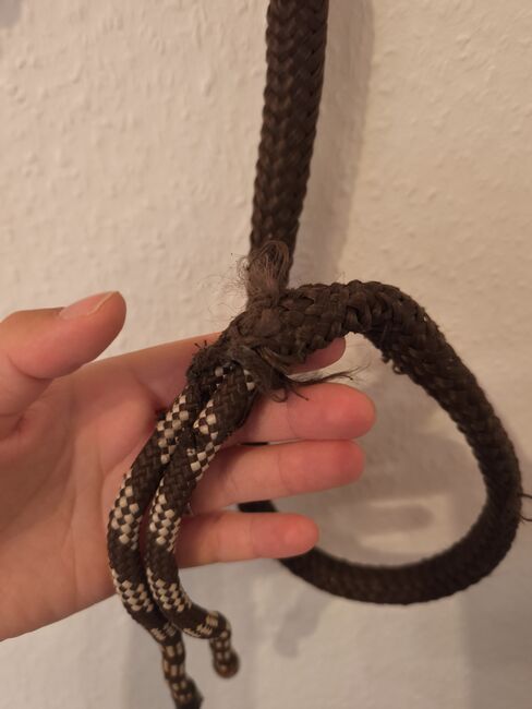 Knotenhalfter Trense Halfter Pferd, Pfiff, Vivienne Metzger , Halters, Eschwege, Image 3