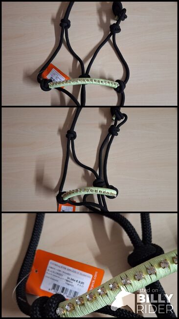 Knotenhalfter WB, Epplejeck, ADN, Halters, Duisburg, Image 4