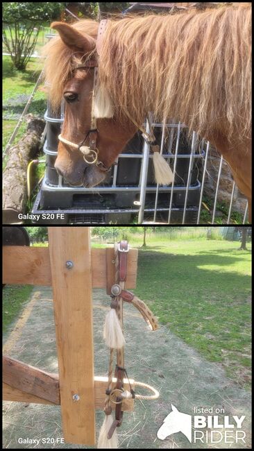 gehitchtes Kopfstück mit Sidepull, handmade, Katrin Özcan, Bitless Bridles, Eiersheim, Image 3
