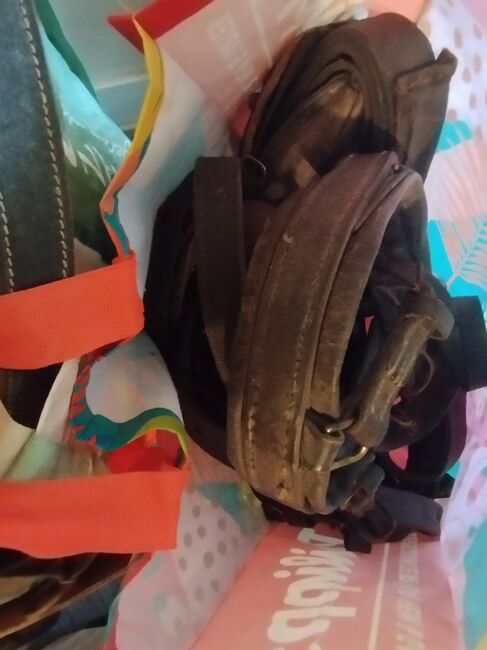 Konvolut Lederzubehör und Steigbügel, Melanie , Training Aids, Mühlhausen/Thüringen, Image 5