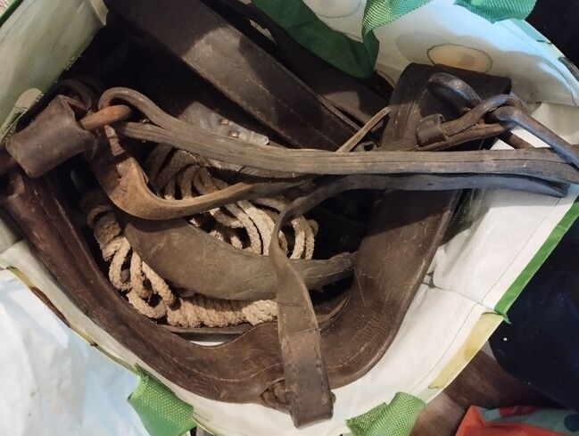 Konvolut Lederzubehör und Steigbügel, Melanie , Training Aids, Mühlhausen/Thüringen, Image 6