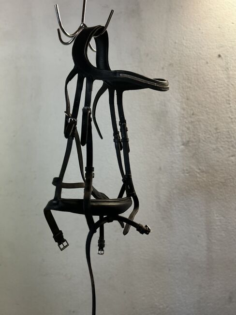 Genick freie Trense, Lena, Bridles & Headstalls, Südlohn , Image 3