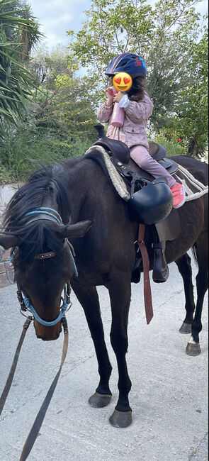 Gentle, curagous Thoroughbred mare 5 years old, Anna, Pferd kaufen, Mytilini, Abbildung 4