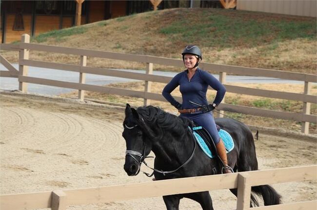 Genuine allrounder 16hs tall Black Friesian gelding 7yr old, Lucas, Pferd kaufen, Melbourne, Abbildung 2