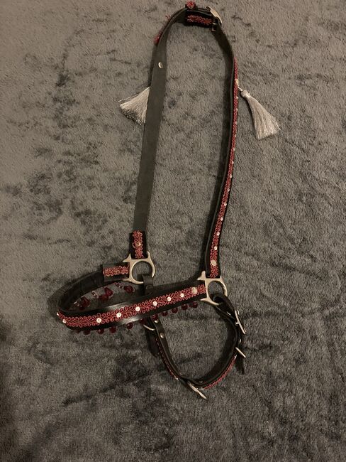 *reserviert* Araber Show Set-Showhalfter und Brustschmuck/Araber Showhalfter, LAni, Halters, Seelze, Image 2