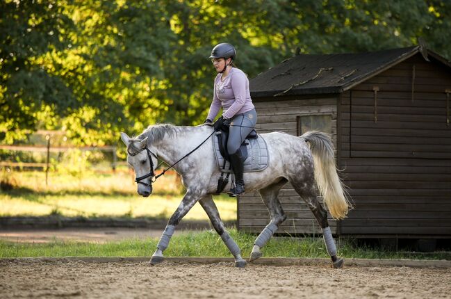 Deutsches Reitpony-Schimmelwallach-Allrounder, Eva Reinhardt, Horses For Sale, Leinburg, Image 7