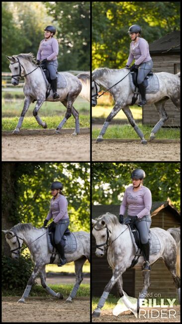 Deutsches Reitpony-Schimmelwallach-Allrounder, Eva Reinhardt, Horses For Sale, Leinburg, Image 8