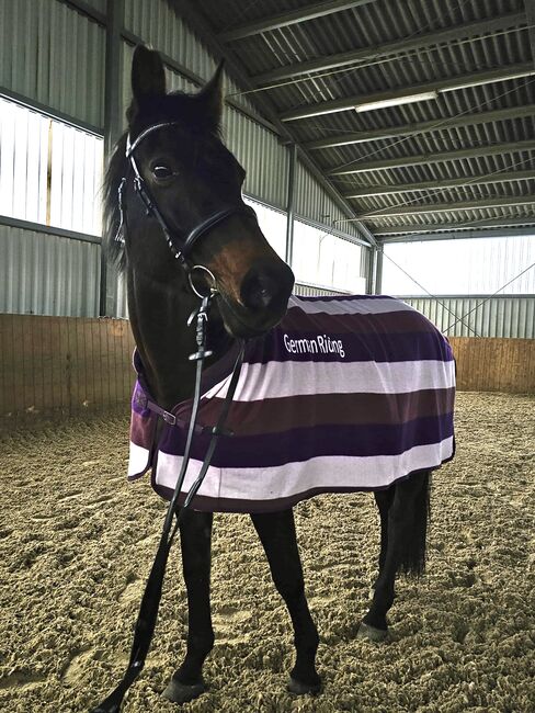 Abschwitzdecke German Riding, German Riding, Lina, Horse Blankets, Sheets & Coolers, Polch