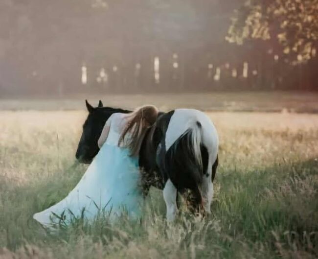 Tolle Paint Horse Stute mit super Charakter, Kerstin Rehbehn (Pferdemarketing Ost), Horses For Sale, Nienburg, Image 11