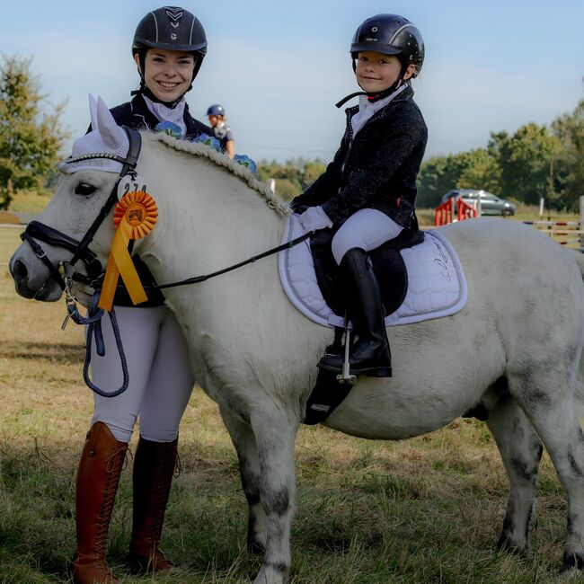 Tolles Pony mit viel Potential, Jacky, Horses For Sale, Sulzbach-Rosenberg, Image 4