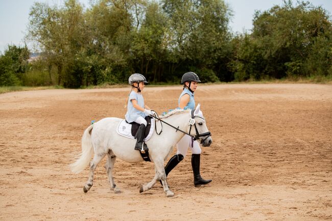 Tolles Pony mit viel Potential, Jacky, Horses For Sale, Sulzbach-Rosenberg, Image 5