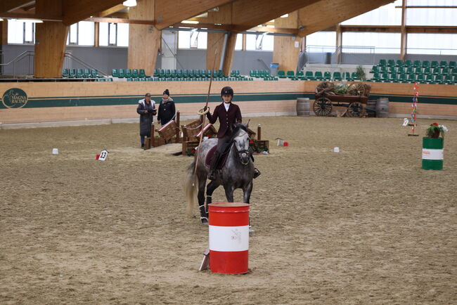 Toller Wallach sucht Bestplatz ✨, Nathalie, Horses For Sale, Hollabrunn, Image 4