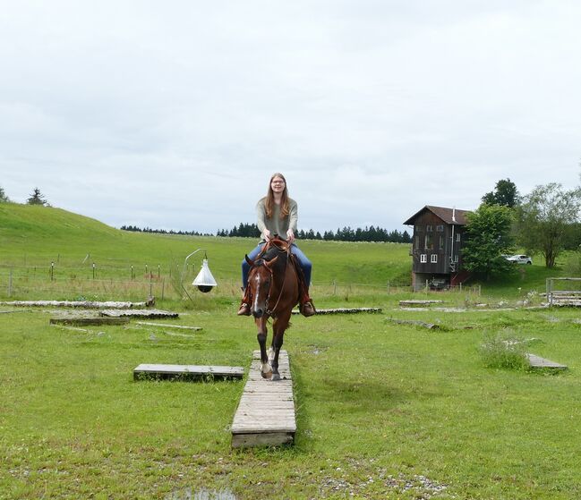 Toller Wallach für den ambitionierten Freizeitreiter, Latissa, Horses For Sale, Plüderhausen, Image 5