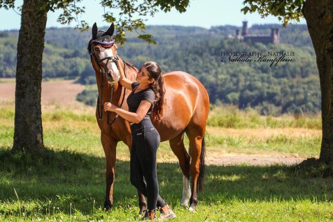 Gewinnerpony für Einsteiger, Katharina Lehmann (Pferdevermittlung Leus), Pferd kaufen, Limburg an der Lahn, Abbildung 3