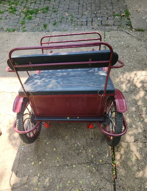 Gig / Kutsche, Jana, Carriages, Nideggen , Image 3