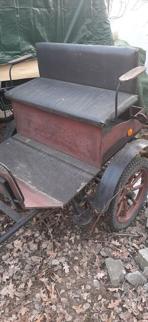 Gig für Pony, Franzi, Carriages, Kloster Lehnin , Image 2