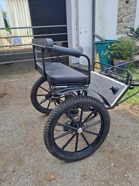 Gig für Kleinpferde bis 155cm, MMKutschen Gig, Elisabeth Eichinger , Carriages, Wilfleinsdorf, Image 5