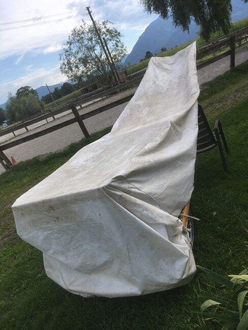 Gig / Sulky aus Eschenholz, ina mravlag, Carriages, Aschau, Image 7