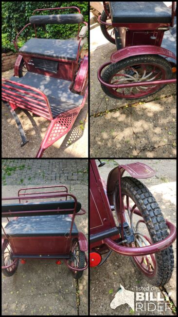 Gig / Kutsche, Jana, Carriages, Nideggen , Image 14