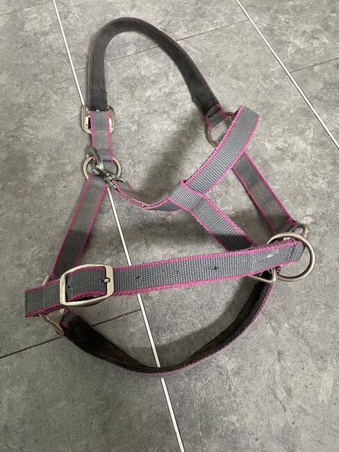 Verschenke Halfter von Horseware Amigo, Horseware, Katharina , Halters, Neukirchen 