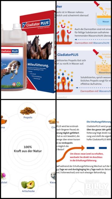 GladiatorPLUS Pferd 1Liter PET Flasche limitierte Aktion UVP 89,90€, WOW Pferd  (WOW Pferd), Horse Feed & Supplements, Bayern - Attenkirchen, Image 7