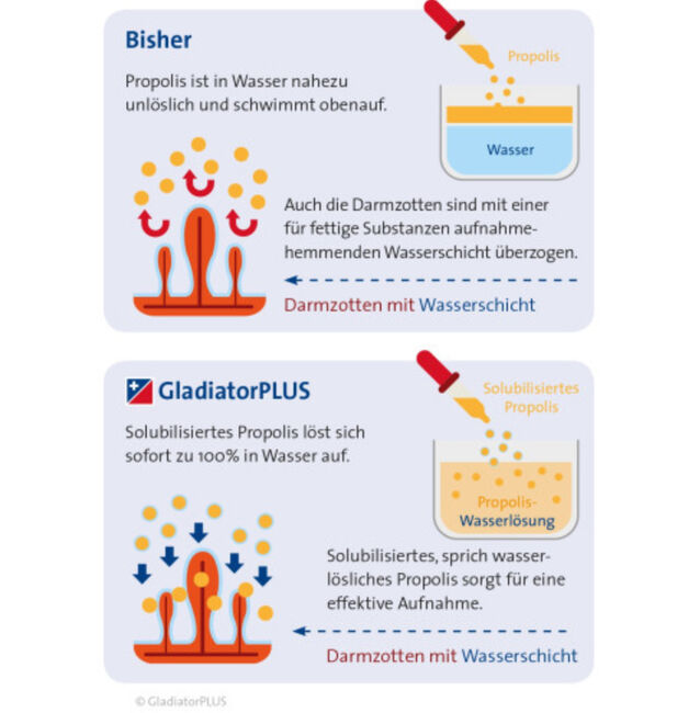 GladiatorPLUS Pferd 1Liter PET Flasche limitierte Aktion UVP 89,90€, WOW Pferd  (WOW Pferd), Pferdefutter, Bayern - Attenkirchen, Abbildung 3