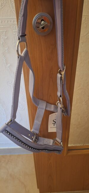 Glitzer Halfter Showmaster, Showmaster , Majo, Halters, Recklinghausen 