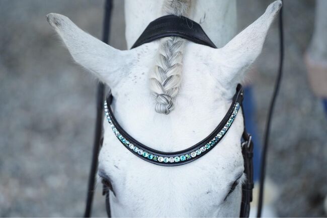 glitzerpferd.de Stirnriemen Trense,Kandare,Micklem, glitzerpferd.de glitzerpferd.de Stirnriemen Trense,Kandare,Micklem, glitzerpferd.de (glitzerpferd.de), Browbands, Winzer