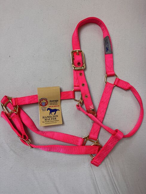 Nagelneues Hamilton Halfter Hot Pink -Average, Hamilton VERKAUFT, Nicole Krimmer, Halters, Schwanau 