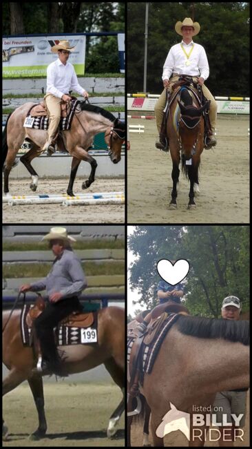 Gut gerittene QH Stute mit viel Potential, Kerstin Rehbehn (Pferdemarketing Ost), Horses For Sale, Nienburg, Image 11