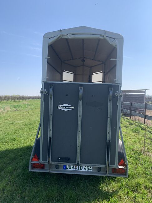 Gepflegter Böckmann Solo, Böckmann Solo , Ariane, Horse Trailers, Bad Dürkheim , Image 6