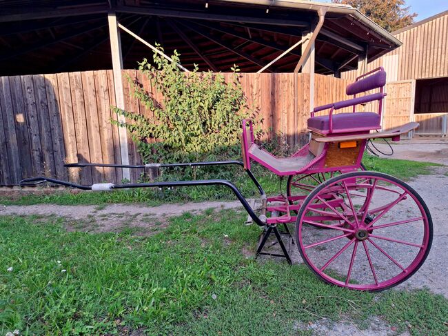 Gepflegter Gig Sulky Kutsche für Pferde ab 150 cm, Urmeli Urmel, Carriages, Ostelsheim