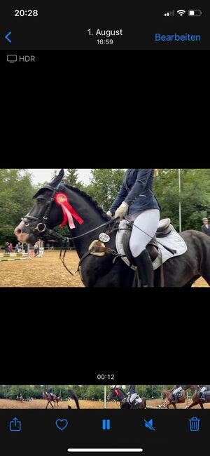 Braver Sport-Pony-Wallach, Hoppereiter, Horses For Sale, Holzkirchen, Image 2