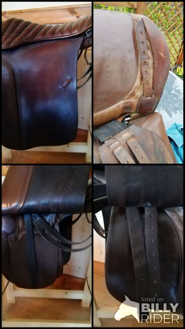 Görtz Champion Sattel, Görtz Champion Tölt Rippsattel ohne Trachten, Ulrike Michaelis, Icelandic Saddle, Cuxhaven, Image 9