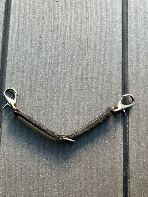 Longierbrille braun Leder, Ramona, Lonżowanie, Gunzenhausen